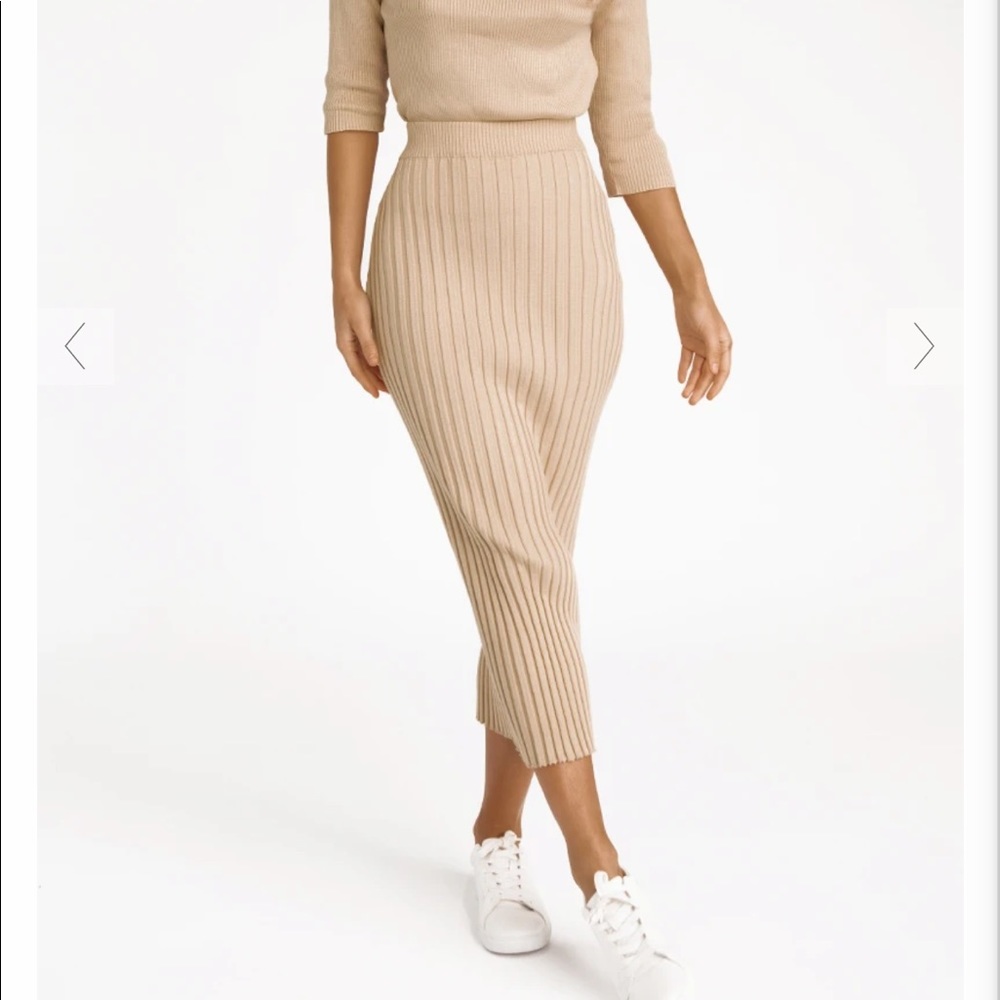 Brand new never worn midi skirt from DISSH